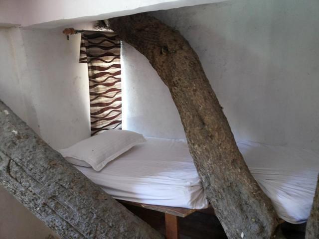 Junglee Resort Rajaji National Park Ришикеш Номер фото